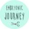 Embryonic Jouney