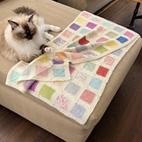 photo d'une couverture multicolore sur un pouf auprès d'un chat