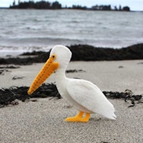 photo d'une peluche pélican