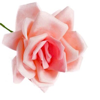 photo d'une rose en ruban