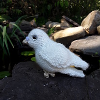 photo d'une peluche colombe