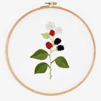 broderie d'une tige de roncier chargée de mûres et de fleurs