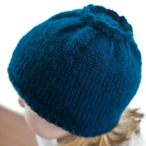 photo d'un bonnet myrtille