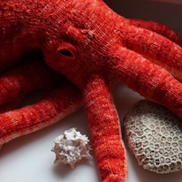 photo d'un céphalopode rouge en tricot