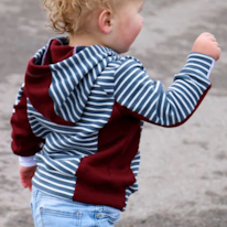 photo d'un hoodie pour tout-petit à rayures bleues et colorblock bordeaux