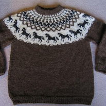 photo d'un pullover islandais à motif de chevaux galopants