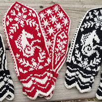 photo d'une paire de moufles à motif de chevaux