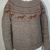 photo d'un pullover à motif de chevaux galopants